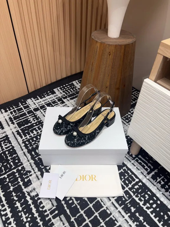 Dior Shoe 